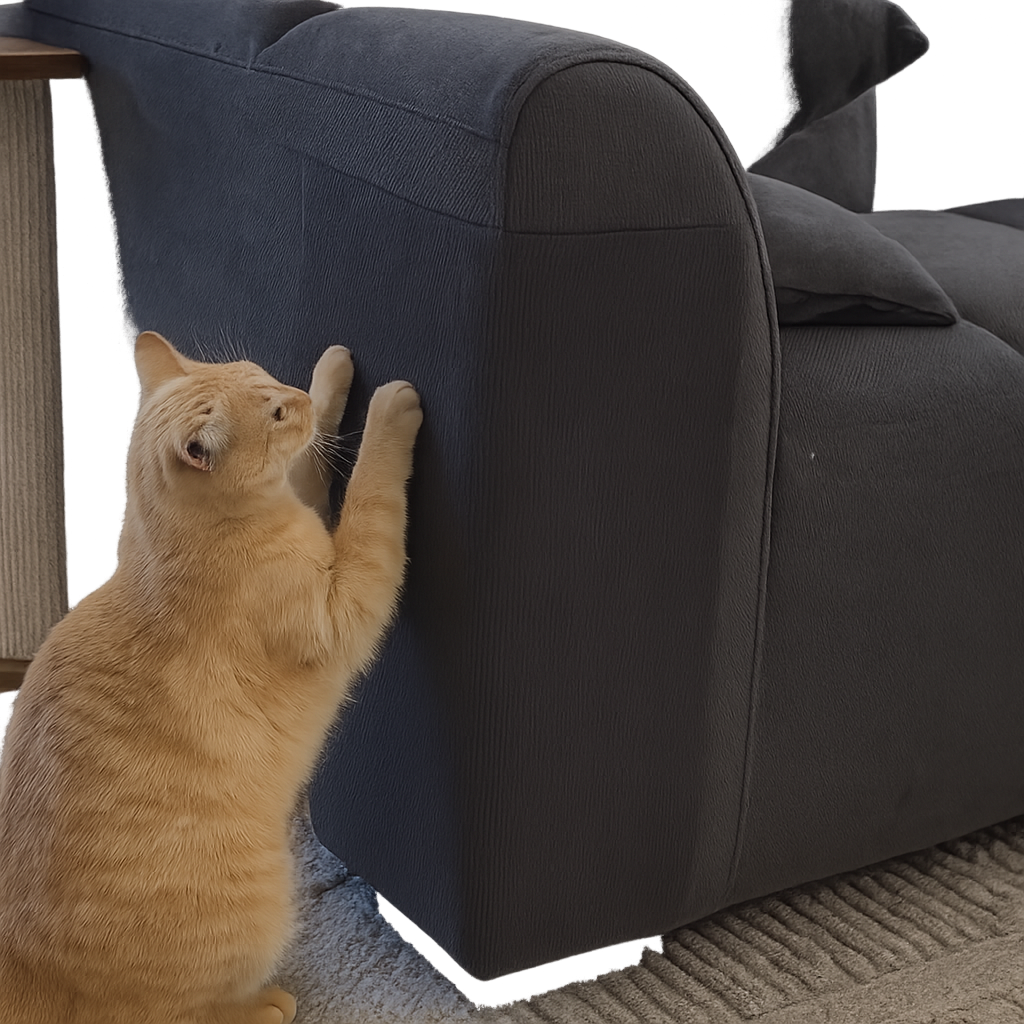 Protect the Spots Your Cat Already Scratches Without Losing Your Home or Your Bond