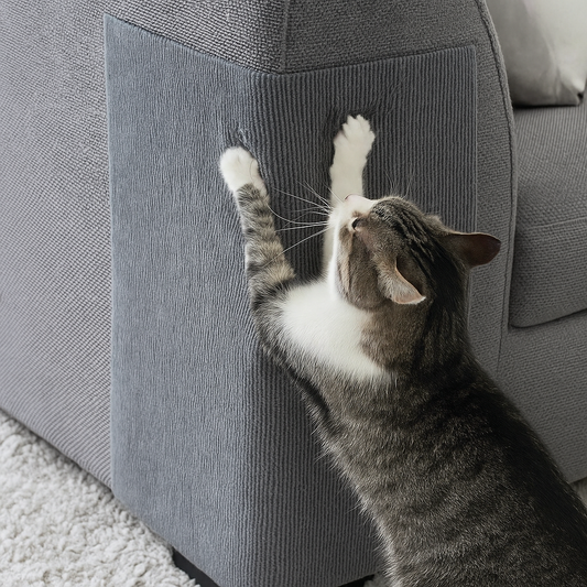 Protect the Spots Your Cat Already Scratches Without Losing Your Home or Your Bond