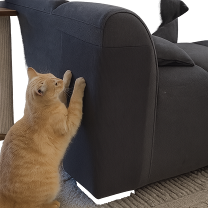 Protect the Spots Your Cat Already Scratches Without Losing Your Home or Your Bond