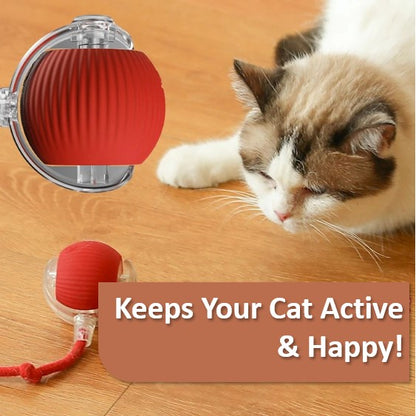 KittySmart Ball – The Ultimate Interactive Cat Toy 🐾