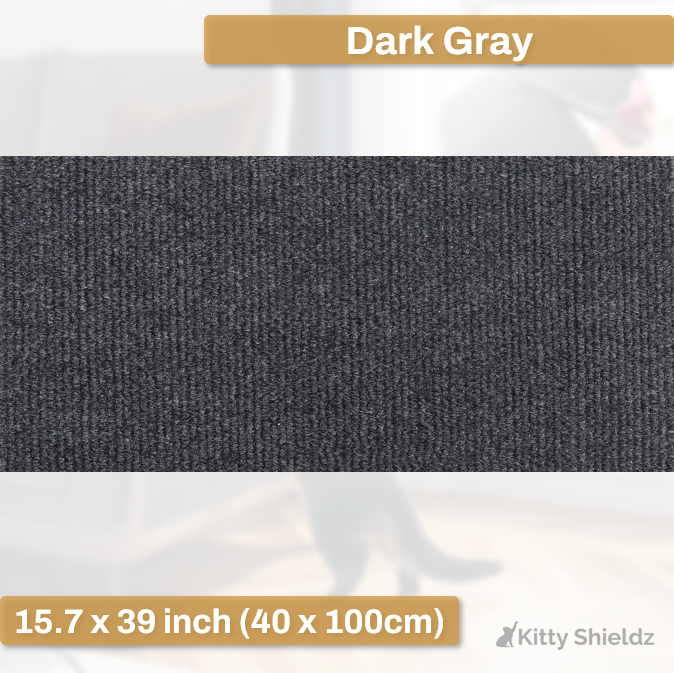 Proteja los lugares donde su gato ya rasca sin perder su hogar ni su vínculo