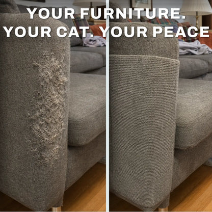 Proteja los lugares donde su gato ya rasca sin perder su hogar ni su vínculo