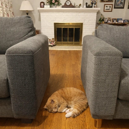 Proteja los lugares donde su gato ya rasca sin perder su hogar ni su vínculo