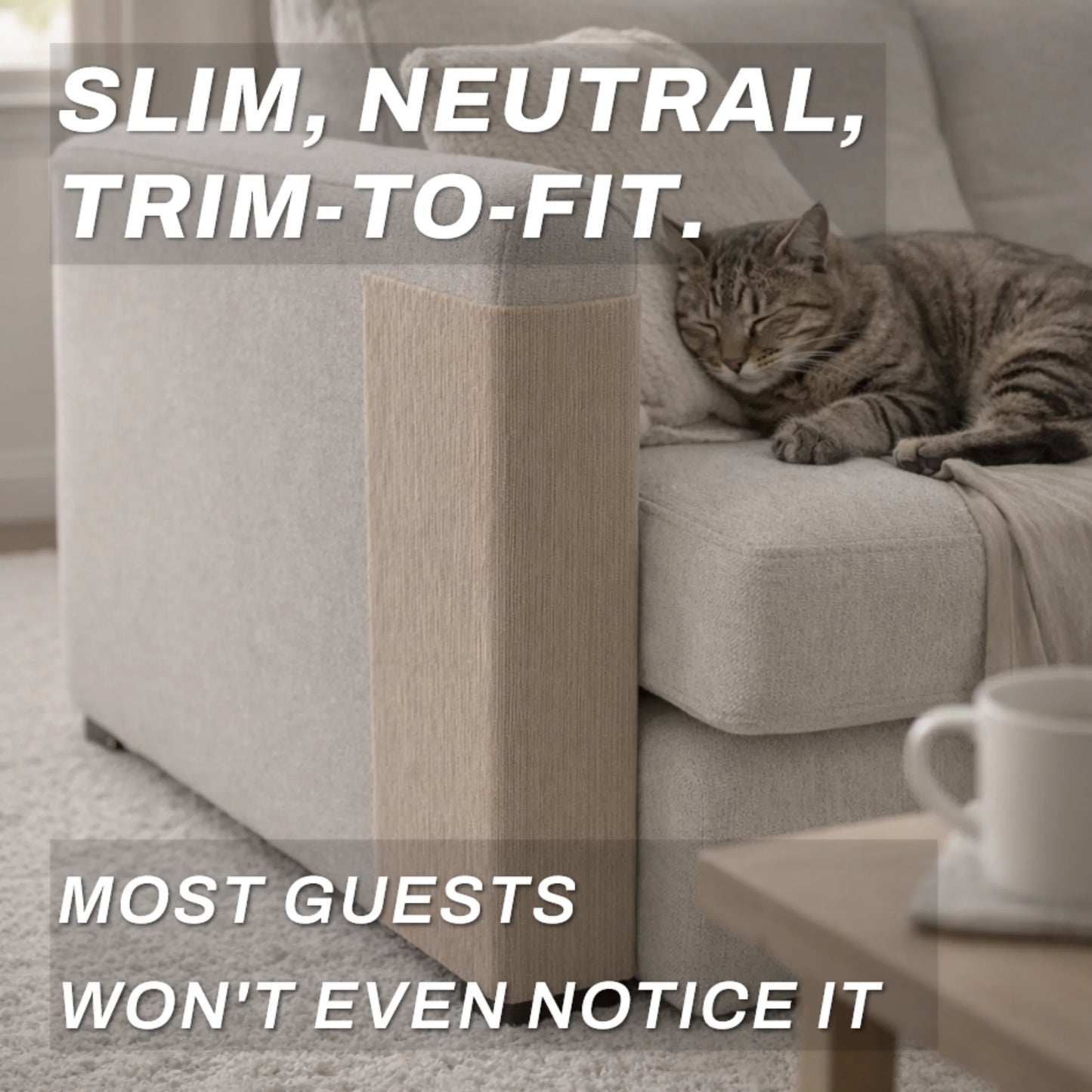 Proteja los lugares donde su gato ya rasca sin perder su hogar ni su vínculo