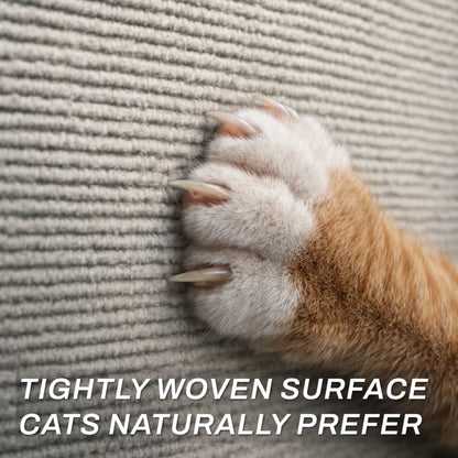 Proteja los lugares donde su gato ya rasca sin perder su hogar ni su vínculo