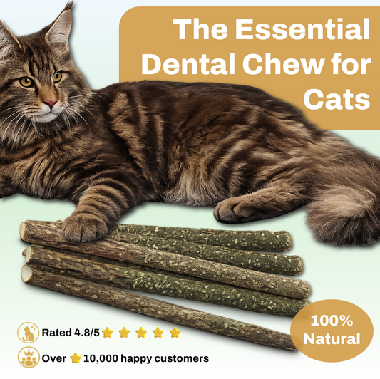 Kitty Fresh Chewz™