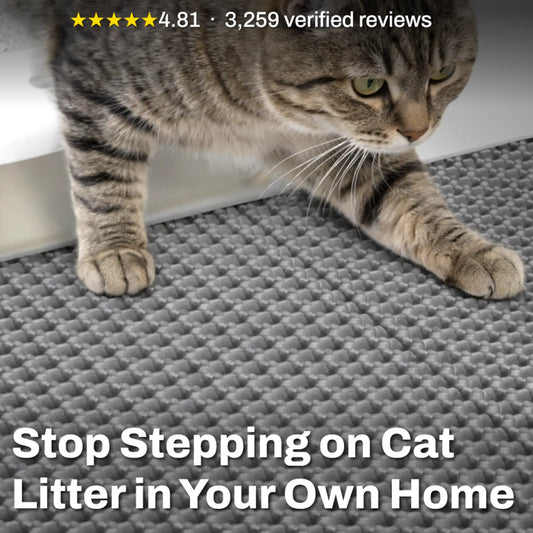 The Kitty Shieldz™ Litter Mat