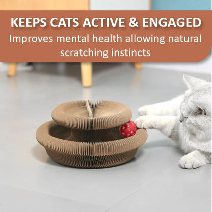 Kitty ScratchNest™ – The Ultimate Shape-Shifting Cat Playground